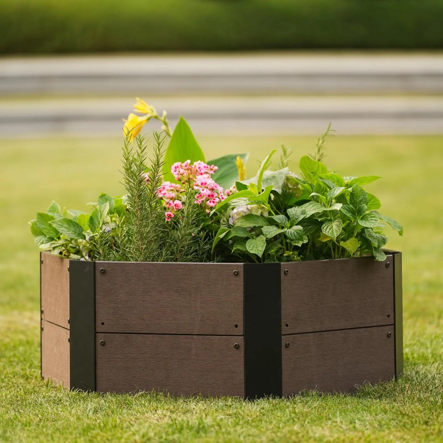 Hexagon Raised Garden Bed Kit, 6-Panel Wood Look Planter Box for Indoor & Outdoor Use, 11.8 Inches Deep Large Herb & Vegetable