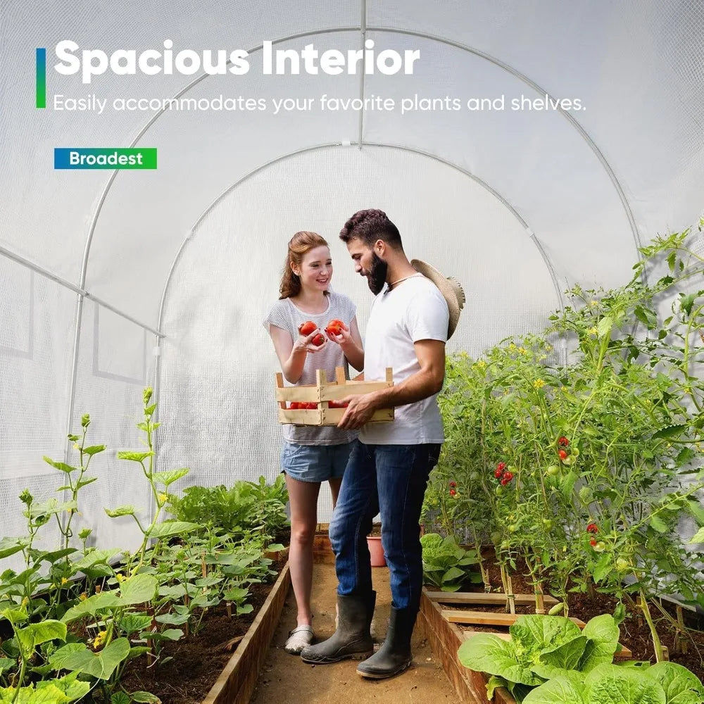 Premium Greenhouse for Outdoors, 10x6.6x6.6FT Upgraded Portable Walk-in Heavy Duty Frame Large Garden Plant Hot Outside Hoop Ho
