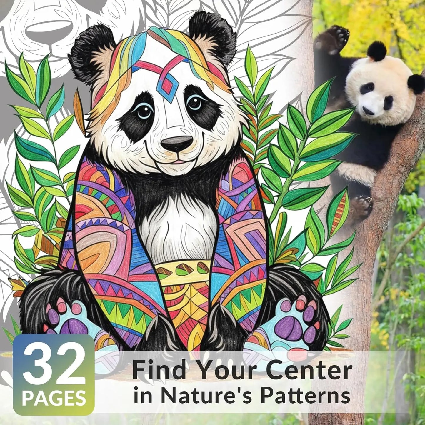 Adult Coloring Book with Mandala Animal Designs - 32 Single-Sided Pages, Spiral Bound for Easy Drawing and Framing, Stress